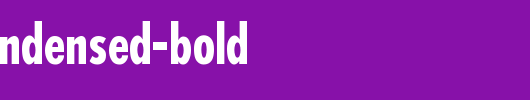 Futura-Condensed-Bold.ttf