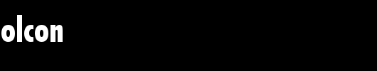 FuturaTEEBolCon.ttf
