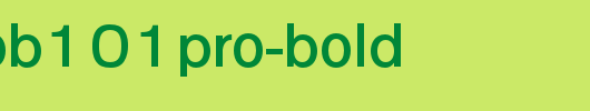 日本外字集字体系列GFutoGoB101Pro-Bold.otf