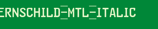 GL-Nummernschild-Mtl-Italic.ttf