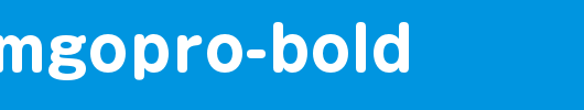 日本外字集字体系列GShinMGoPro-Bold.otf