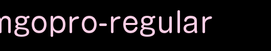 日本外字集字体系列GShinMGoPro-Regular.otf