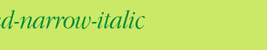Garamond-Narrow-Italic.ttf