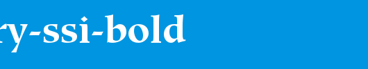 Glossary-SSi-Bold.ttf