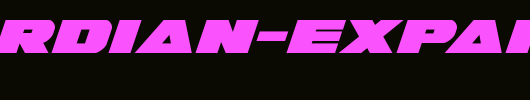Guardian-Expanded-Italic-copy-1-.ttf