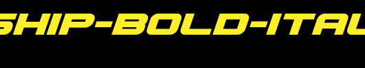 Gunship-Bold-Italic.ttf
