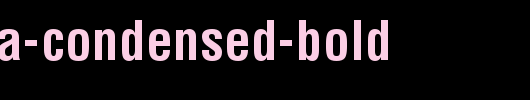 Helvetica-Condensed-Bold.ttf