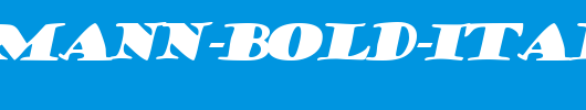 Hermann-Bold-Italic.ttf
