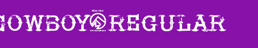 HireaCowboy-Regular.otf