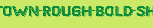 Hometown-Rough-Bold-Shadow.ttf