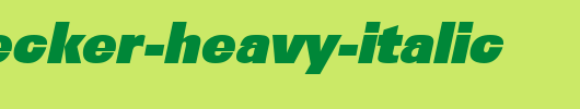IrvinBecker-Heavy-Italic.ttf
