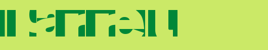 JI-Parrel.ttf
