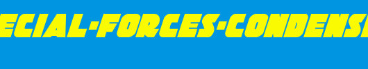Jedi-Special-Forces-Condensed-Italic.ttf