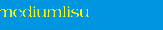 JetLink-MediumLisu.ttf