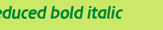 Josef-reduced-Bold-Italic.ttf