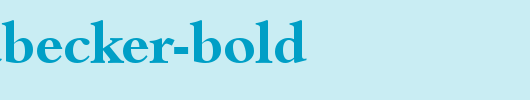 JoshuaBecker-Bold.ttf