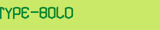 KARDONTYPE-Bold.ttf