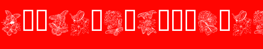 KR-Beautiful-Butterfly.ttf