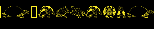 Keya-s-Turtles.ttf
