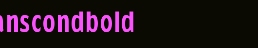 KleinsSansCondBold.ttf