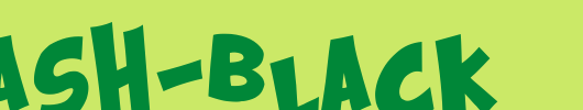 Kraash-Black.ttf