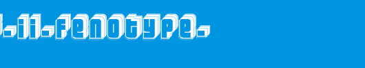 Letters-II-Fenotype-.ttf