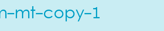 Levenim-MT-copy-1.ttf