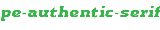 Linotype-Authentic-Serif-BoldItalic.ttf