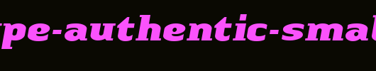 Linotype-Authentic-Small-Serif-BlackIt.ttf