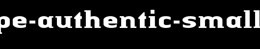 Linotype-Authentic-Small-Serif-Bold.ttf
