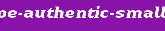 Linotype-Authentic-Small-Serif-BoldIt.ttf
