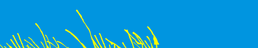 Linotype-Grassy-Bold.ttf