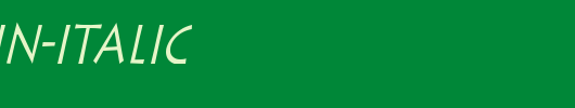 Liste-Thin-Italic.ttf