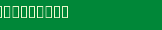 LogosCompanyP25.ttf