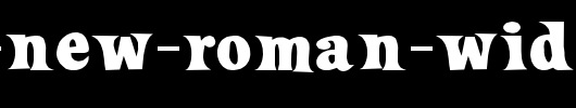 Loose-New-Roman-Wide.ttf