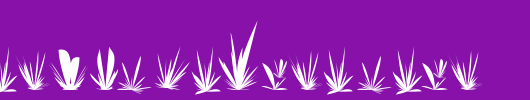 LucPlantsGrowinAgain.ttf