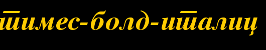 MAC-C-Times-Bold-Italic.ttf