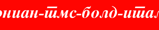 Macedonian-Tms-Bold-Italic.ttf