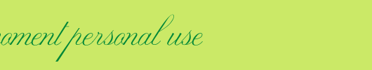 Marriage-Moment-Personal-Use_英文字体
