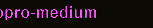 日本外字集字体系列MaruFoPro-Medium.otf