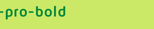 Maven-Pro-Bold.ttf