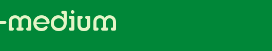 Media-Medium.ttf