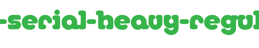 Media-Serial-Heavy-Regular.ttf