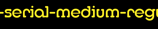 Media-Serial-Medium-Regular.ttf