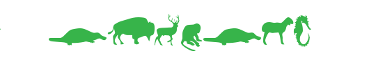 Mers-Animals.ttf