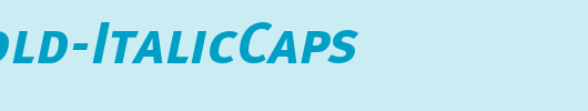 MetaBold-ItalicCaps_英文字体
