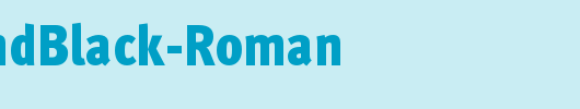 MetaCondBlack-Roman_英文字体