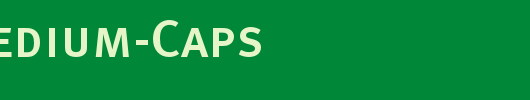 MetaMedium-Caps_英文字体