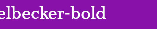 MichaelBecker-Bold.ttf