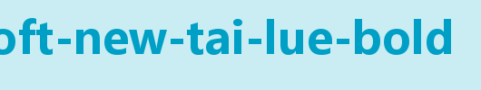 Microsoft-New-Tai-Lue-Bold.ttf